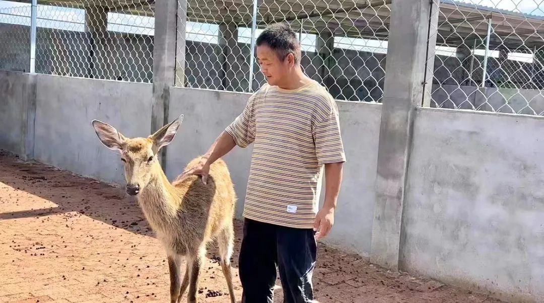 77游戏中心